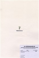 藏品(小鈣扇藻)的圖片